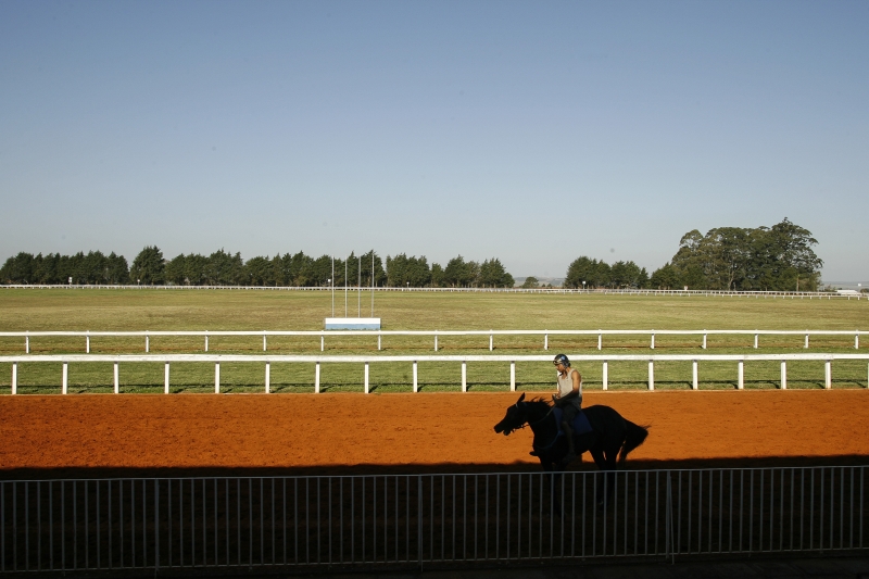 O hipódromo de Ponta Grossa é o único com pista oval em funcionamento no estado | Fotos: Josué Teixeira/Gazeta do Povo
