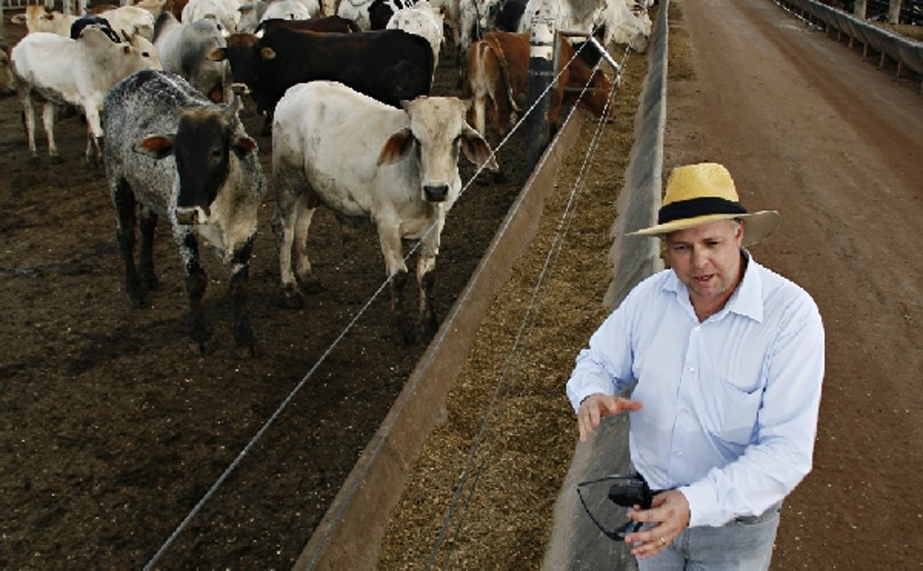 Investimento em época de retração foi a estratégia de Carioba