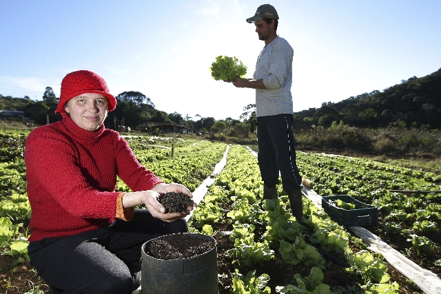 Salete Escher conseguiu aumentar renda – e manter família unida – com crédito rural | Jonathan Campos/gazeta Do Povo