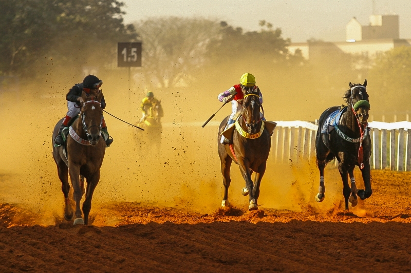 | Josué Teixeira/Gazeta do Povo
