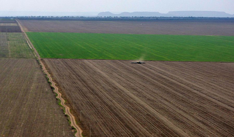 Lavouras do Centro-Oeste ainda esperam chuvas. | Foto: Jonathan Campos/gazeta Do Povo