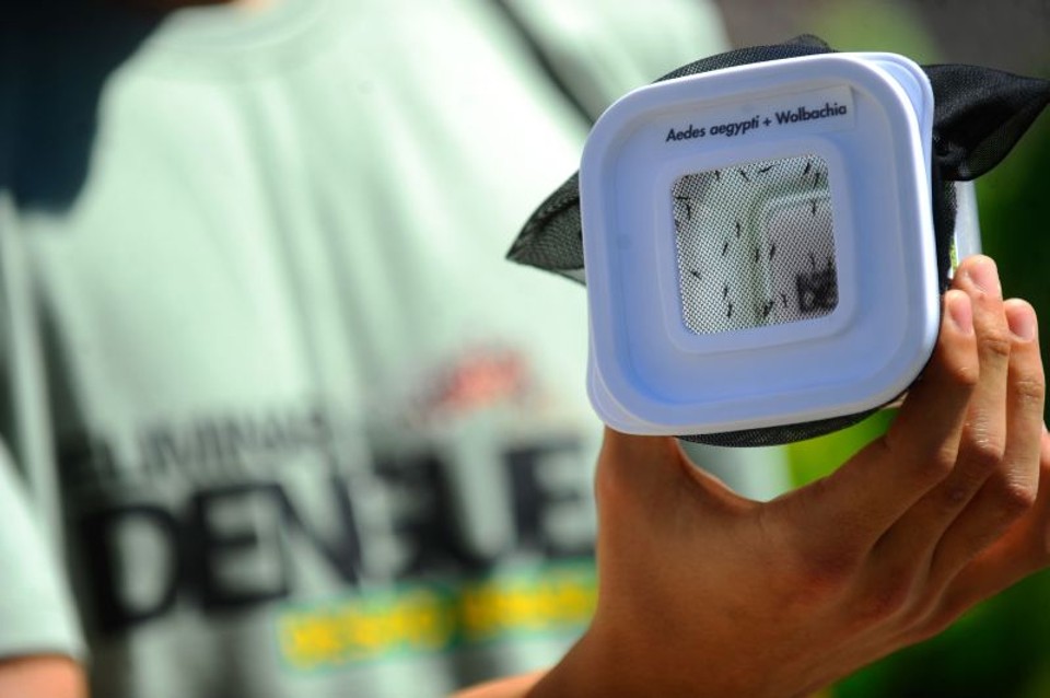 Tubiacanga, na Ilha do Governador (RJ), recebeu os mosquitos com a bactéria Wolbachia | Fernando Frazão/ABr