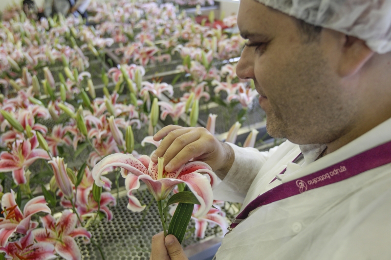 Grupo visitou o chamado "berçário", onde os brotos de flores ficam até desabrocharem | Daniel Castellano/ Gazeta do Povo