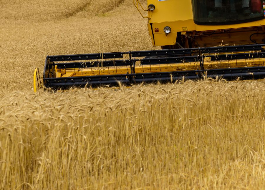 Com a colheita avançando sobre um terço nas lavouras, Paraná deve ser atendido antes do Rio Grande do Sul. | Foto: Antonio Costa/gazeta Do Povo