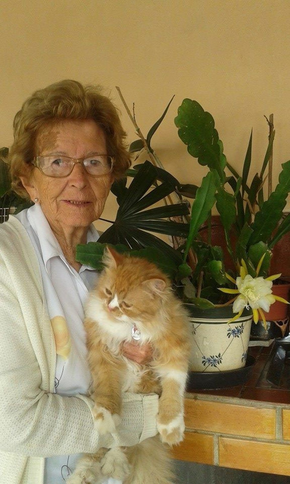 Mais que matriarca | Arquivo da família