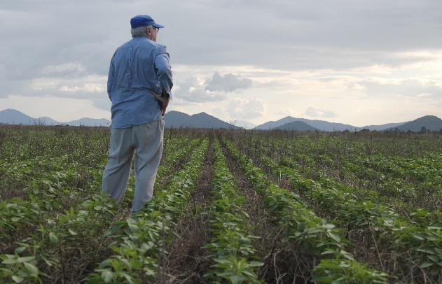 Vicente Gianluppi chegou à Roraima quatro décadas atrás e está entrando agora na sojicultura. Pecuária viabiliza as lavouras que seguem legislação ambiental, afirma | Cassiano Ribeiro/gazeta Do Povo
