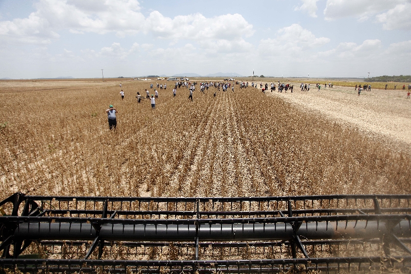 Em dia de debate sobre expansão das lavouras, agricultores acompanham colheita e conferem resultados do ciclo 2013/14 | Jonathan Campos/gazeta Doapovo
