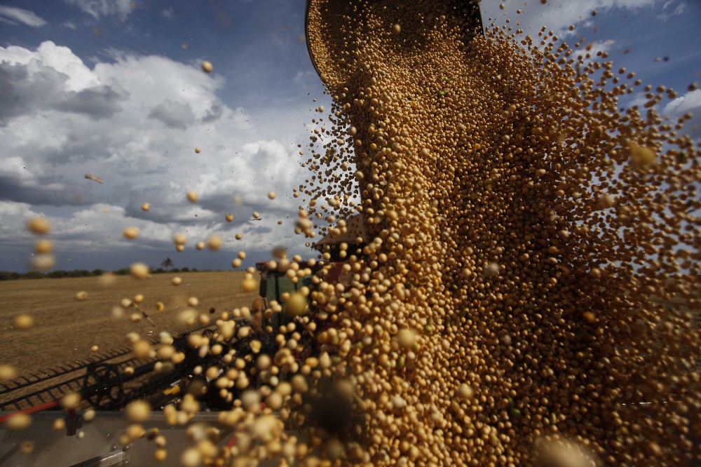 Na história: temporada 2014/15 tem sido clima quase perfeito para os norte-americanos, com produção histórica. | Jonathan Campos / Gazeta Do Povo