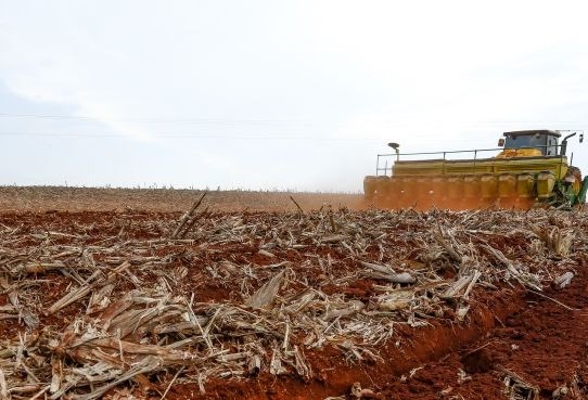 Plantio de soja Campo Mourão. Parte dos produtores recebe chuva isolada, mas escassa. | Hugo Harada / Gazeta Do Povo