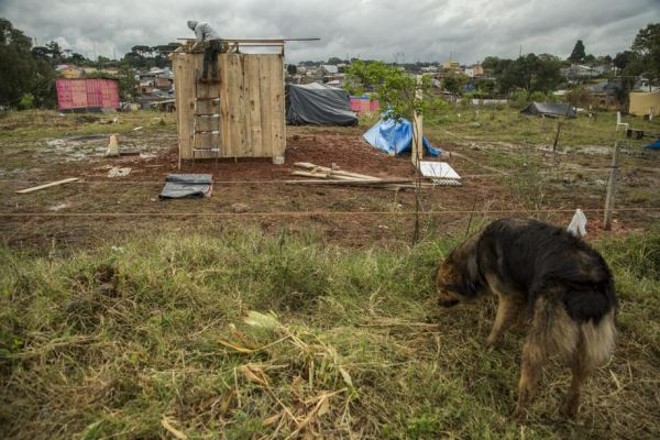 Cão perambula pelo terreno, enquanto morador prossegue erguendo mais uma moradia improvisada | 