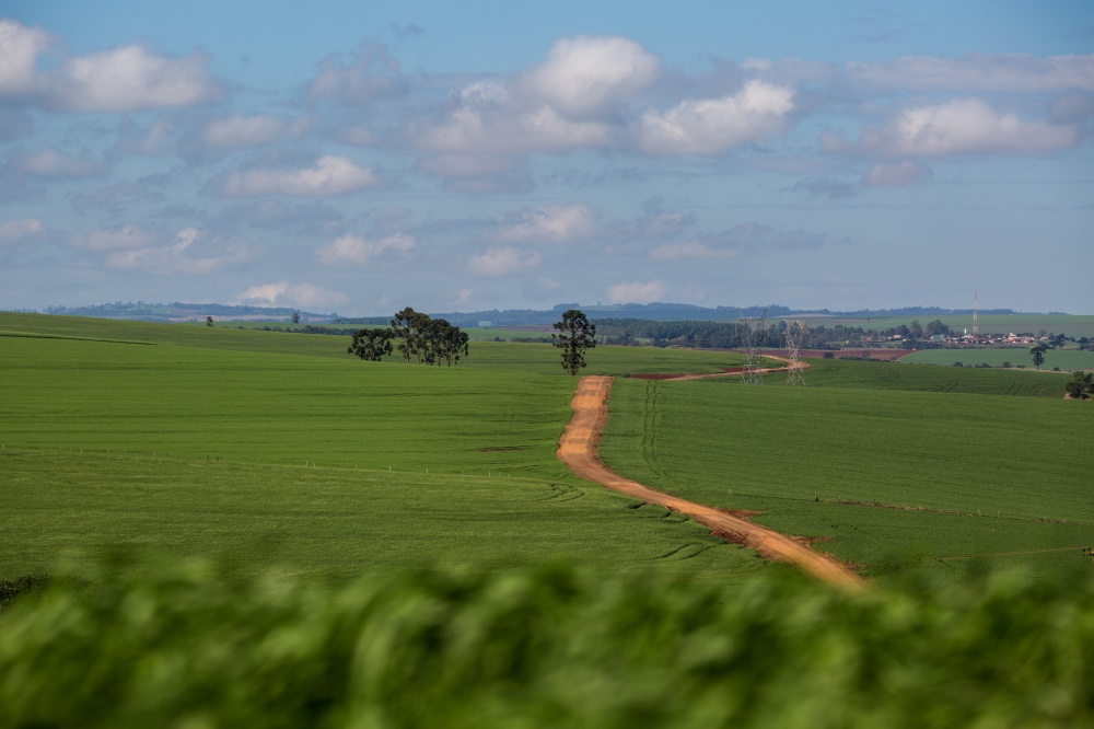 Agricultura acumula maior alta no período jan-julho. Mas, com a forte desvalorização de commodities como a soja a partir de agosto, segmento tende a pressionar PIB-agro | Bruno Covello / Gazeta Do Povo
