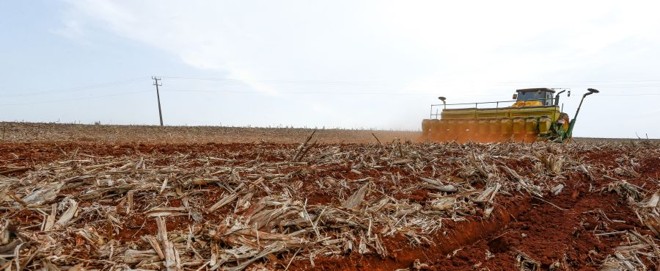 Plantio de soja Campo Mourão. Parte dos produtores recebe chuva isolada, mas escassa. |