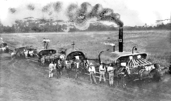 Charge sobre uma pretensa Estrada de Ferro de Guarapuava, feita em cima de uma fotografia de um comboio de carroções, na década de 1930 | Acervo Cid Destefani