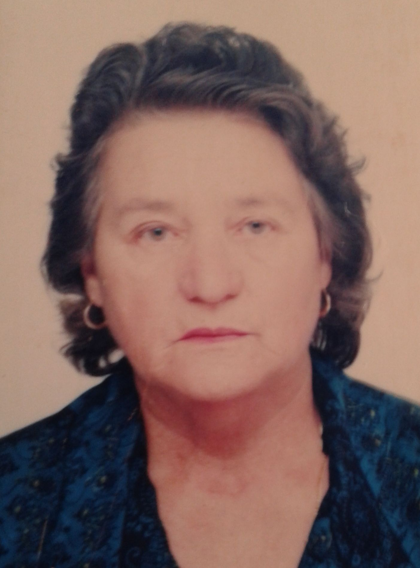 | Arquivo da Família