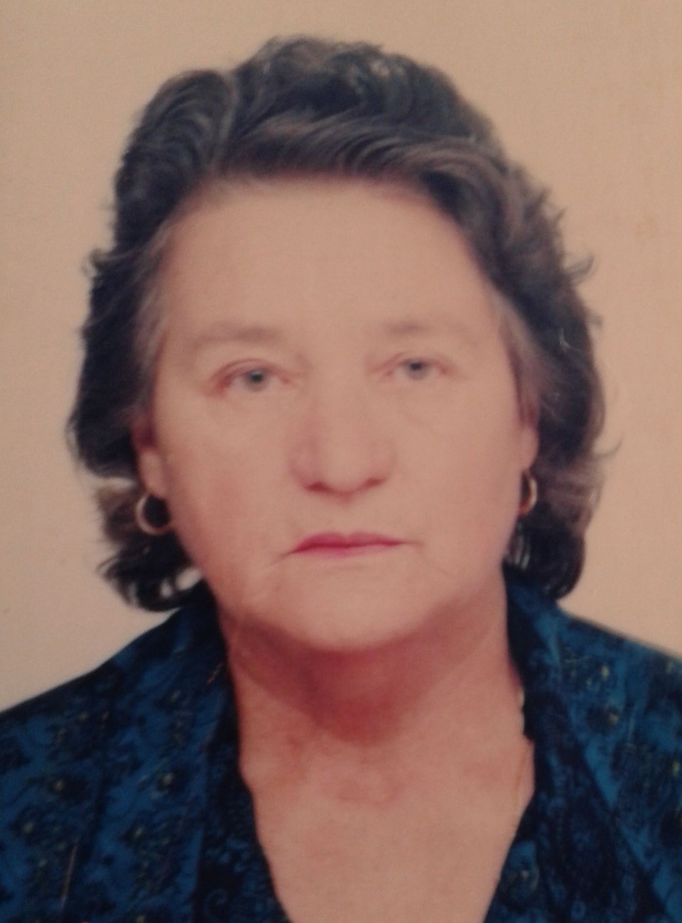 A professora do Guamirim | Arquivo da Família