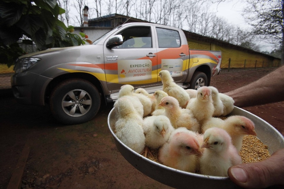 Percurso de 5 mil km inclui visita a viveiros, indústrias e portos | Jonathan Campos/ Gazeta Do Povo