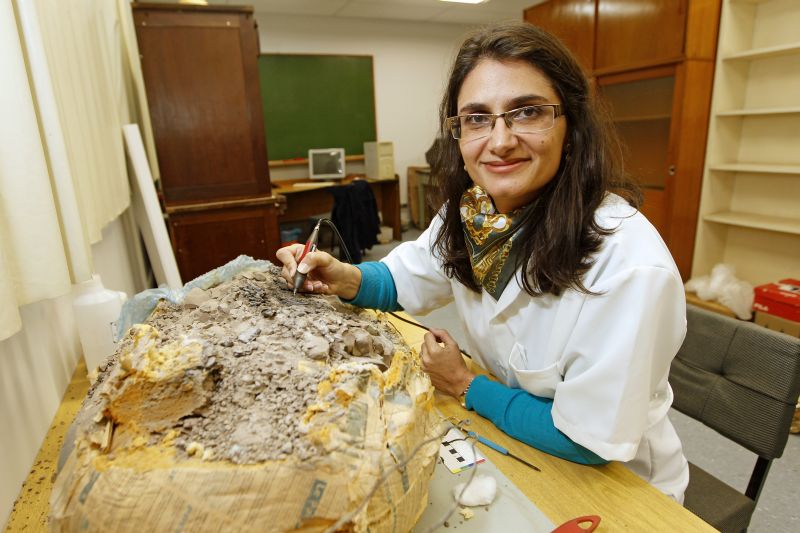 Cristina, da UFPR: busca por explicações em vestígios de espécies não preservadas | Fotos: Antônio More/Gazeta do Povo