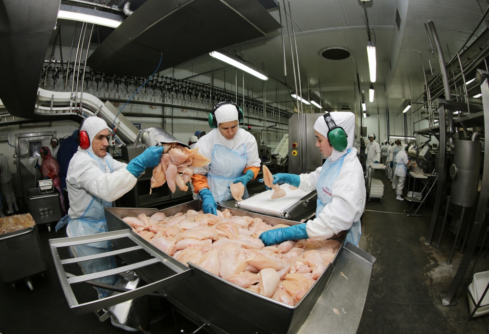 Carne direcionada para o mercado russo impulsionou exportações de frango, avalia setor. | Giuliano Gomes / Gazeta Do Povo