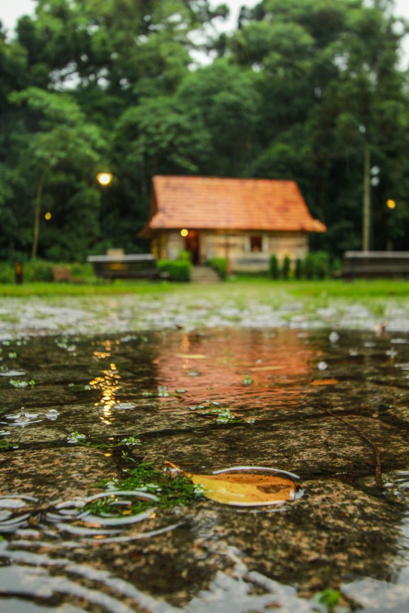 | Daniel Castellano/Gazeta do Povo