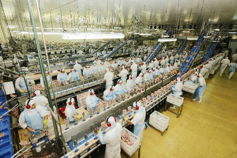 Depois de dobrar abates, frigorífico paranaense ajusta operações. | Giuliano Gomes / Gazeta Do Povo
