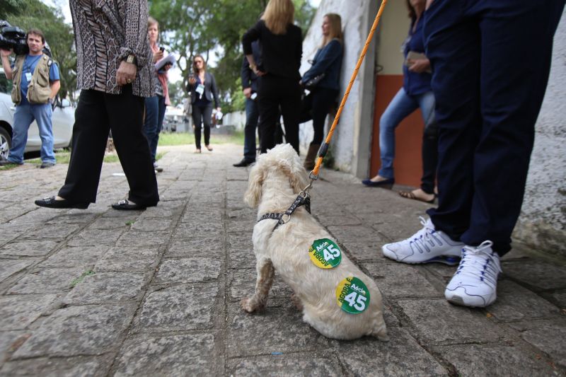 O animal esperava pelos eleitores em frente ao Colégio Estadual Amâncio Moro | Daniel Castellano / Agência de Notícias Gazeta do Povo