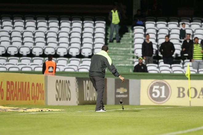 Depois de muita luta, funcionário do Coritiba consegue retirar quero-quero do gramado do Couto | 