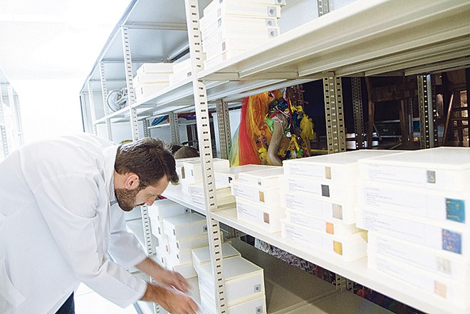 As peças de menor dimensão são guardadas em caixas especiais |