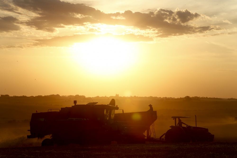 Colheita do trigo vai até o anoitecer. Produtores querem encerrar logo safra de quebra e plantar soja. | Fotos: Hugo Harada/gazeta Do Povo