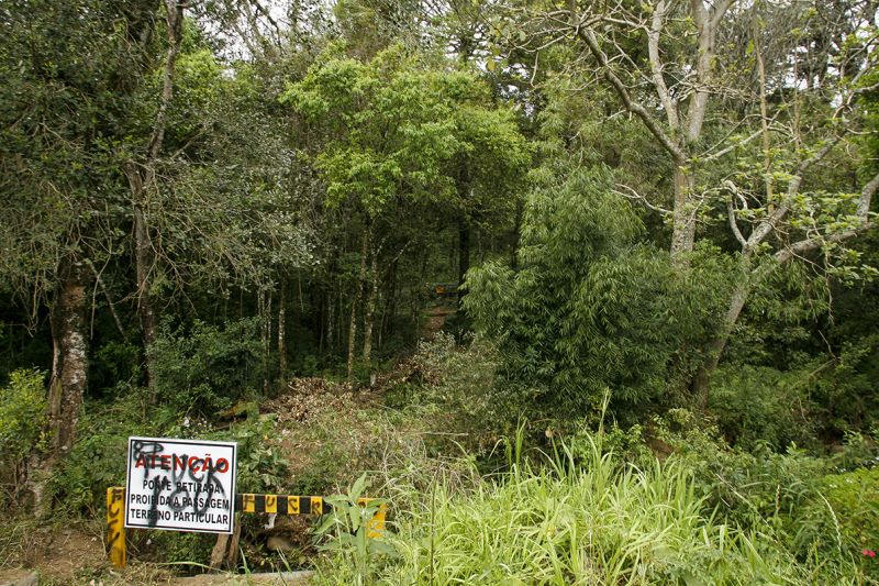 | Josué Teixeira/ Gazeta do Povo