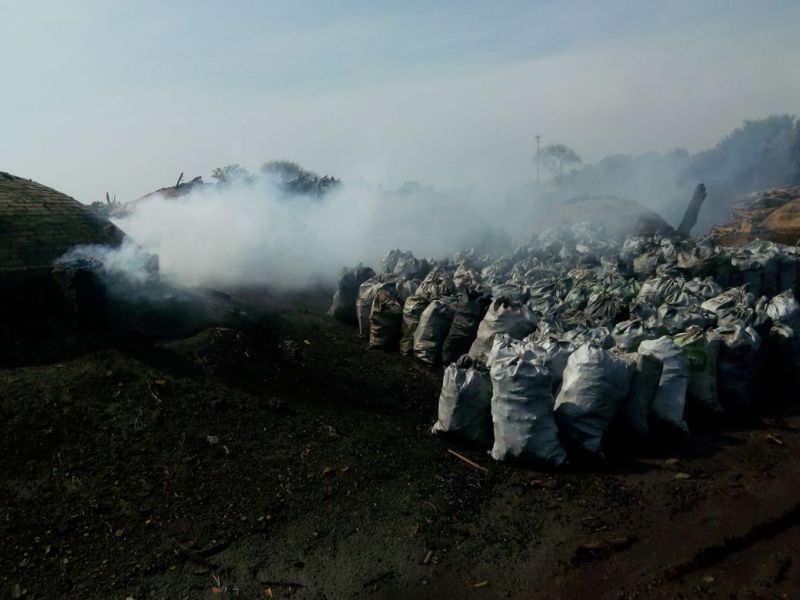 Carvoarias da região de Guarapuava foram autuadas por trabalho irregular | Divulgação/PRF-PR