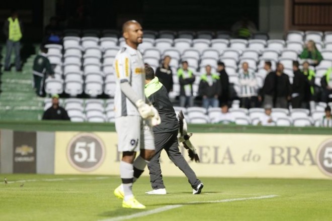 Funcionário do Coritiba tenta retirar quero-quero do gramado do Couto na frente do goleiro Jefferson, do Botafogo | 