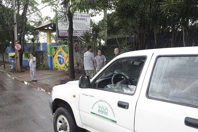 Três animais devem ser levados para Curitiba e os demais seguem para zoos de Dois Vizinhos, Sudoeste do Paraná, e Sapucaia, no Rio Grande do Sul | 