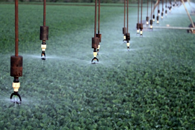 Lavouras com sistema de irrigação driblam a seca no Paraguai. |