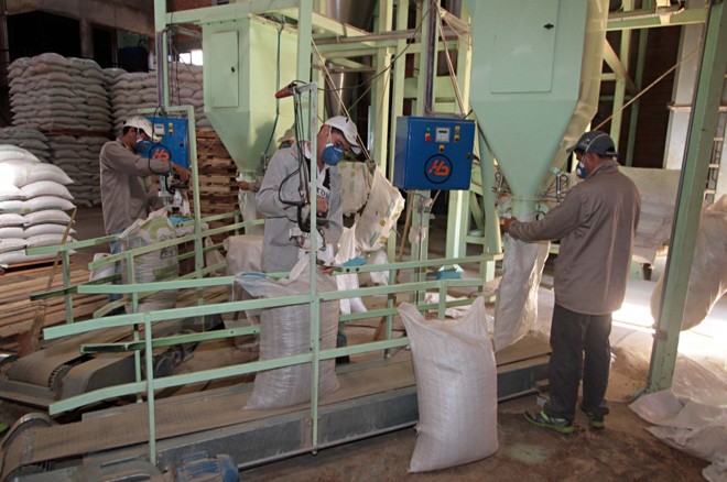 Na cooperativa Sommerfeld, ração para vacas de leite ganha planta industrial. |