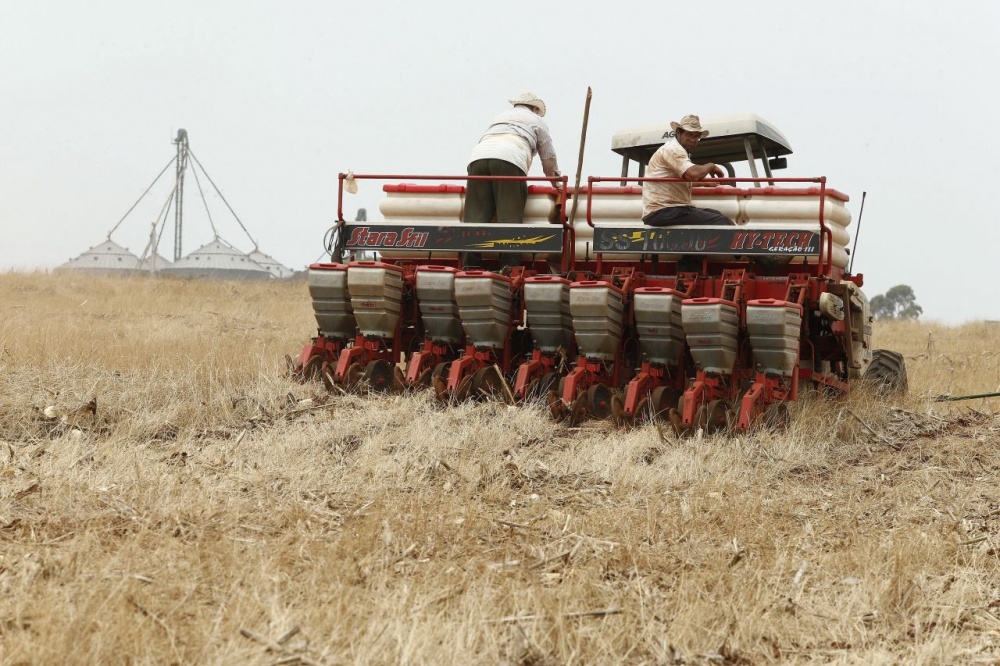 Trabalho continua no fim de semana em Cascavel. Produtores lançam sementes do solo à espera de 20 milímetros de chuva. | Fotos: Hugo Harada/gazeta Do Povo