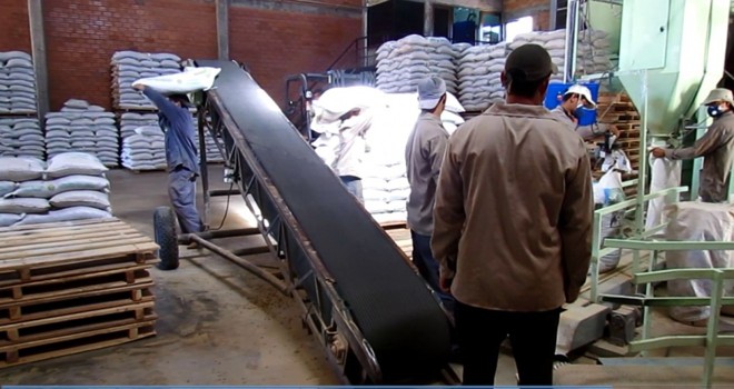 Na cooperativa Sommerfeld, de Juan Eulogio Estigarribia (Caaguazú), uma fábrica de ração para o gado leiteiro recebeu investimento de US$ 4 milhões. A atividade compete com a renda dos 40 mil hectares de soja cultivados pelos 945 associados. | 