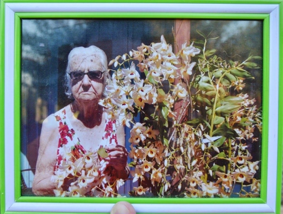  | Arquivo da família