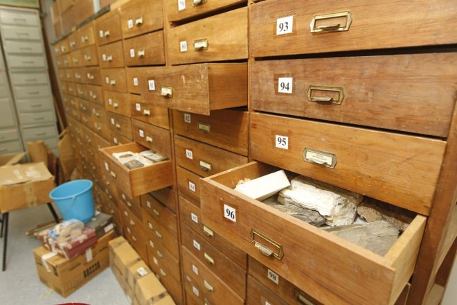 Fósseis depositados na UFPR, parte deles resgatada de contrabandos via Paraguai |