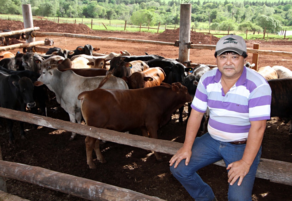 Koda Kozo desenvolve criação de gado para produção de carne especial magra. | Fotos: Christian Rizzi/gazeta Do Povo