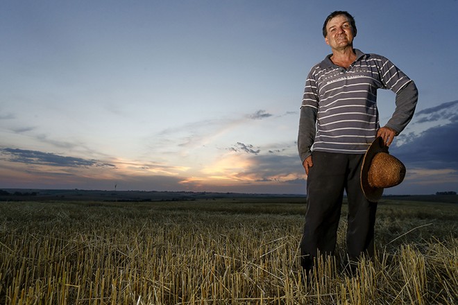 Jorge dal Forno: trigo sem financiamento e contas apertadas em ano de quebra |
