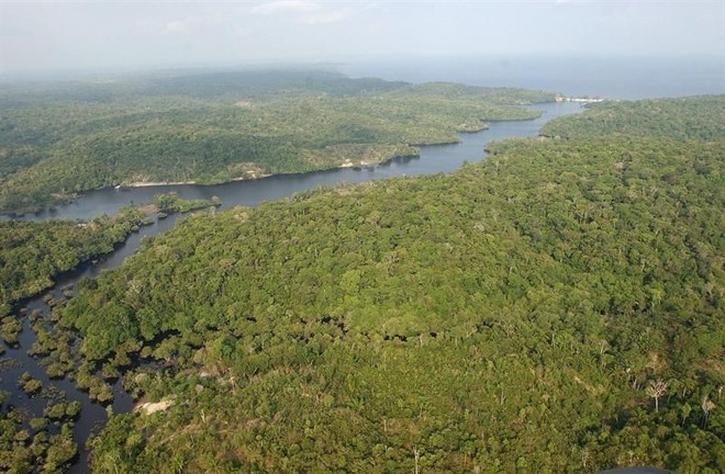 Floresta amazônica: que cobre áreas do Brasil, Bolívia, Colômbia, Equador, Guiana, Guiana Francesa, Peru, Suriname e Venezuela |