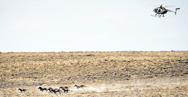 | Michael Friberg para The New York Times