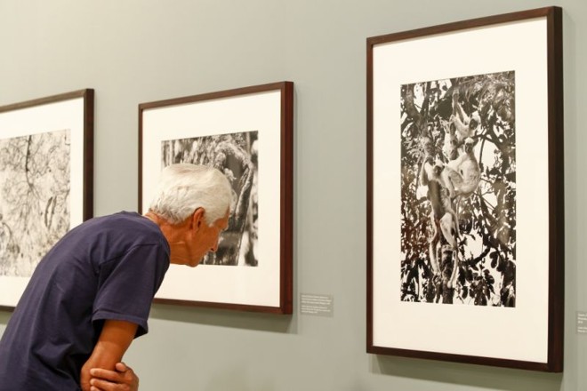 Visitantes movimentaram o Museu Oscar Niemeyer para ver a exposição de Sebastião Salgado |