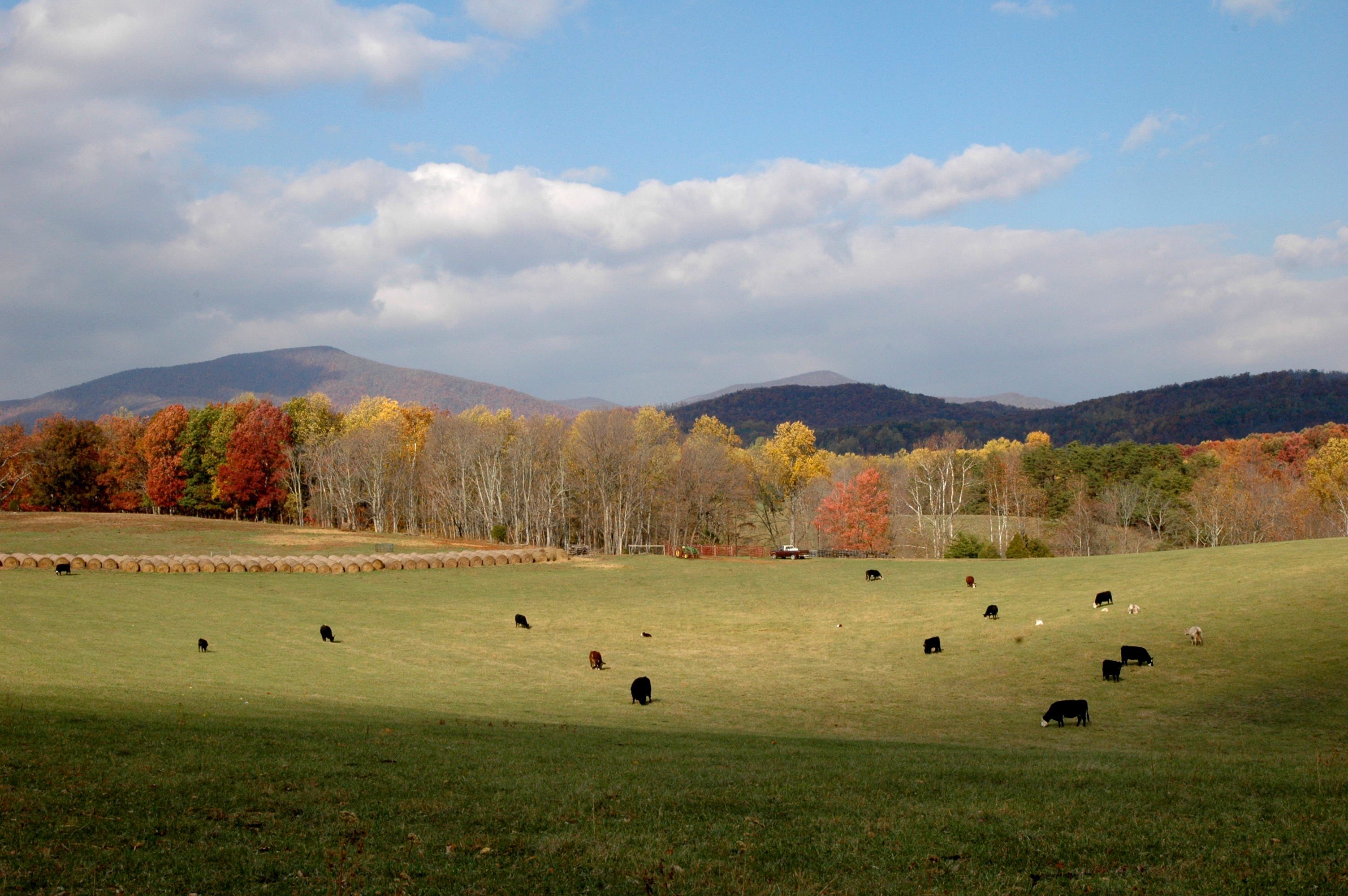 Cena no filme "Planeat", um dos destaques na 5ª Mostra Animal, que começa no sábado (29). | Divulgação