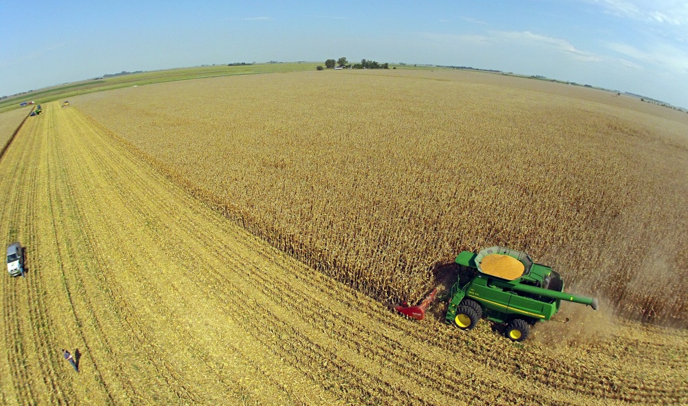 Colheita de milho em Venado Tuerto, província de Santa Fé, Argentina. Países sul-americanos ganham força na somatória da produção e das exportações regionais | Christian Rizzi / Gazeta Do Povo