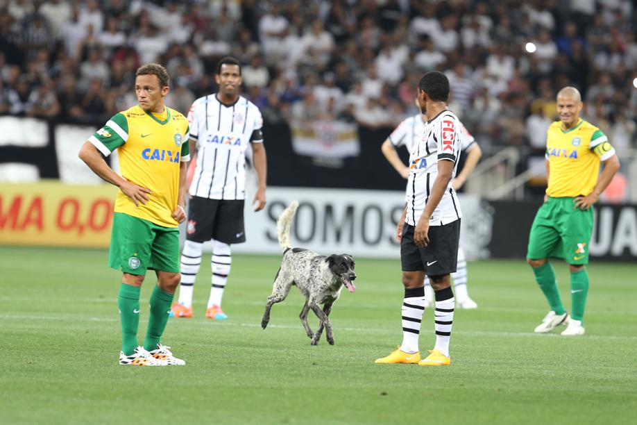 Cachorro invadiu o gramado no Itaquerão | Robson Ventura / Folhapress