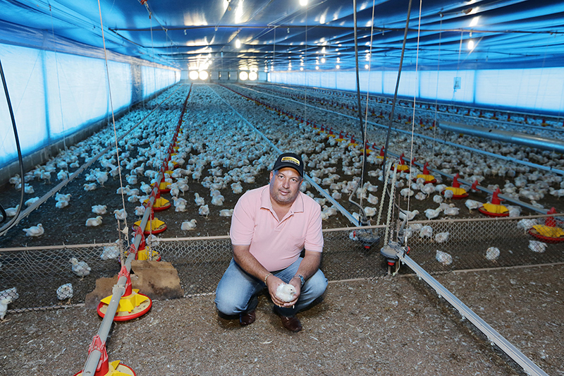 Aviário de R$ 400 mil reduze necessidade de trabalho braçal em época de mão de obra escassa, conta Eiremar Carlos da Silva | Giuliano Gomes/gazeta Do Povo