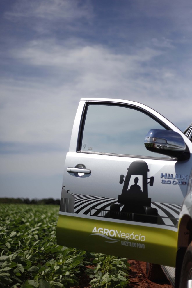 Campo verde. Viagem por Mato Grosso do Sul verifica situação das lavouras plantadas antes e depois do veranico de outubro. | 