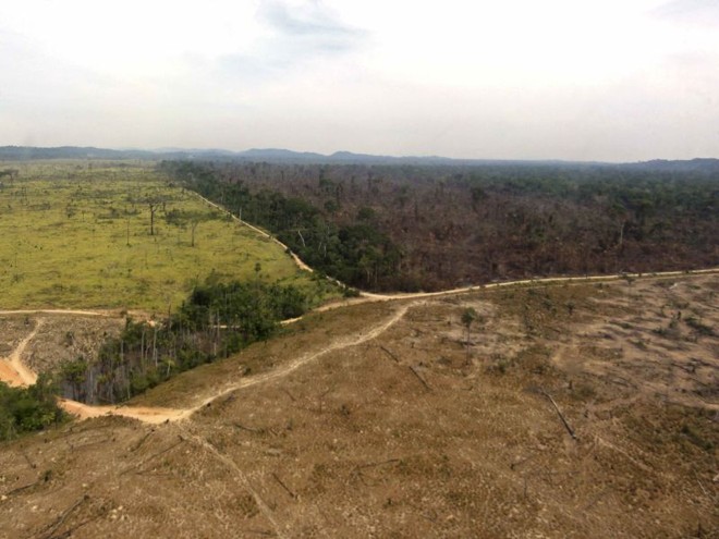 O desmatamento na Amazônia prejudica o clima no planeta e infla os indicadores de emissões brasileiras | Handout/Reuters