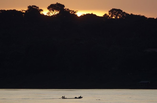 Floresta amazônica: | 